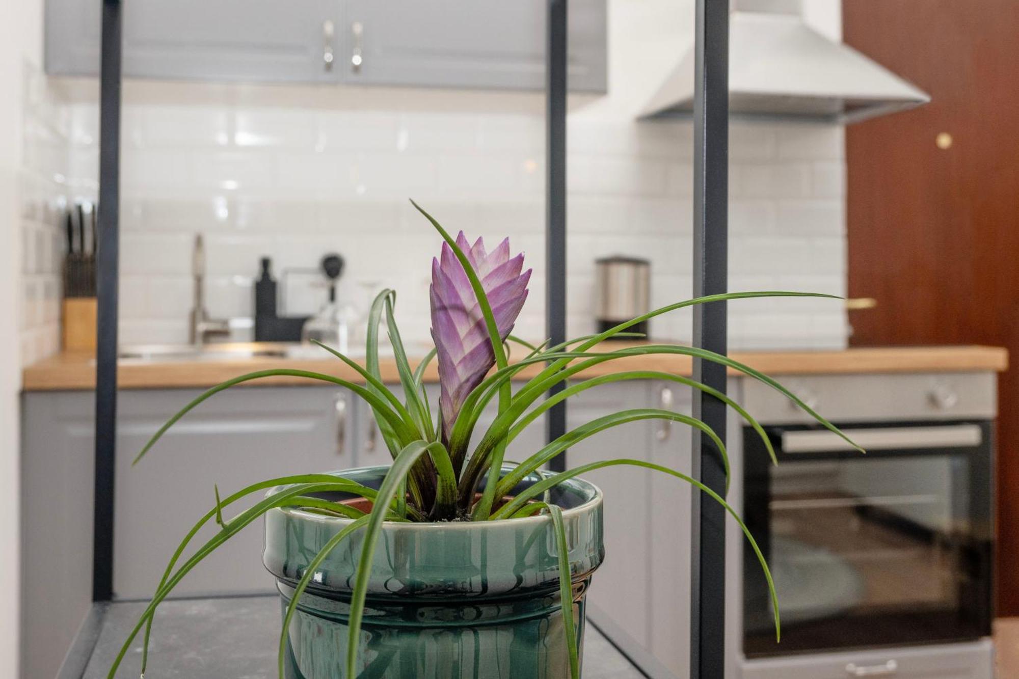 Studio Apartment Stadium Zagreb Eksteriør bilde